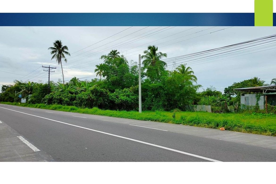 Land for Sale in Mudboron, Alangalang, Leyte – photo 2