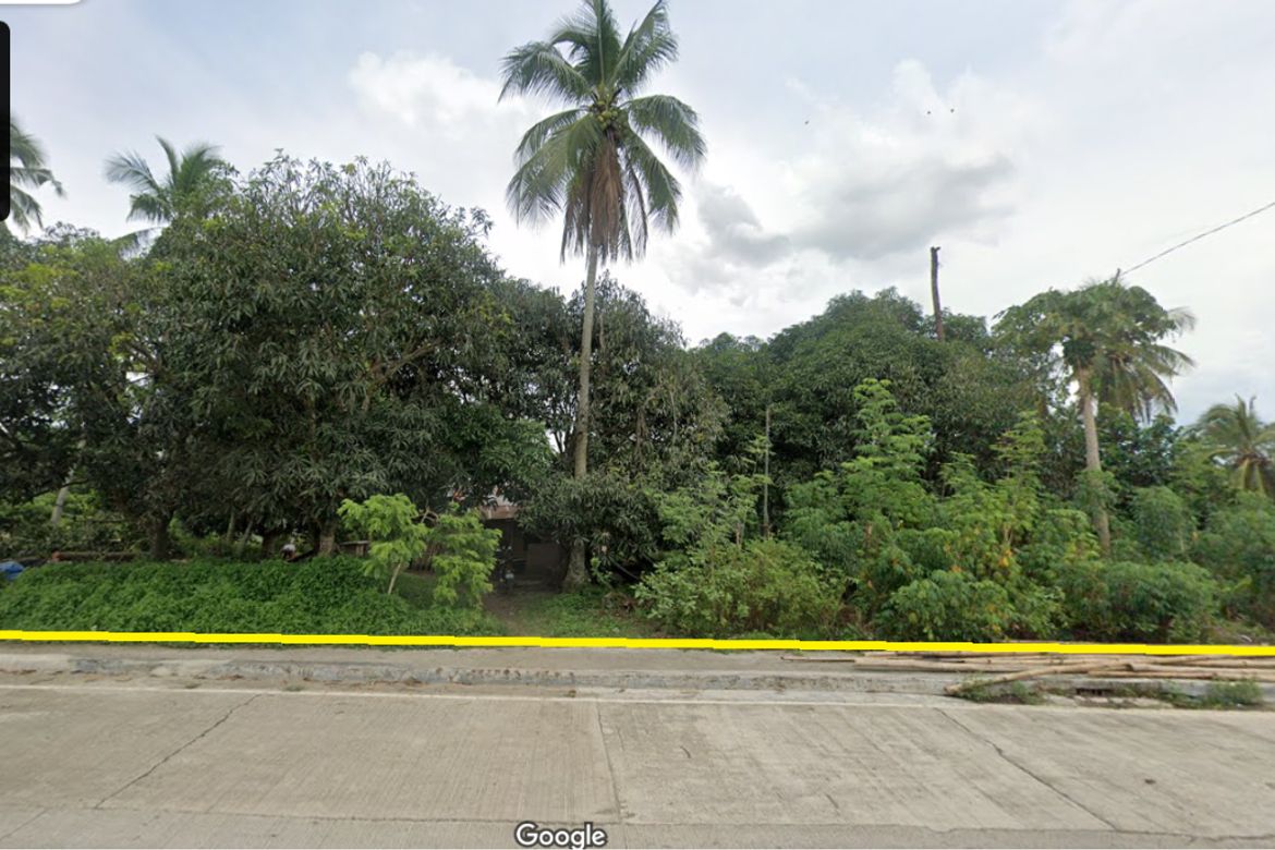 Land for Sale in Mudiang, Davao City, Davao del Sur