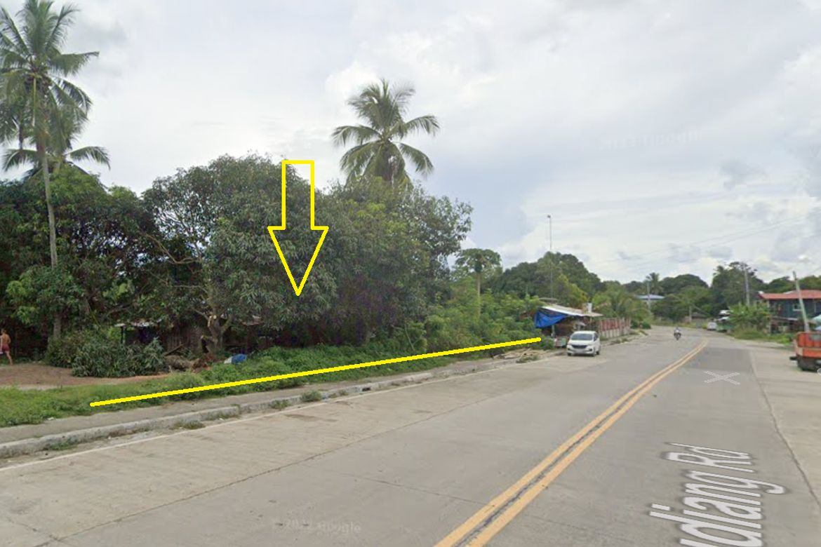 Land for Sale in Mudiang, Davao City, Davao del Sur – photo 2