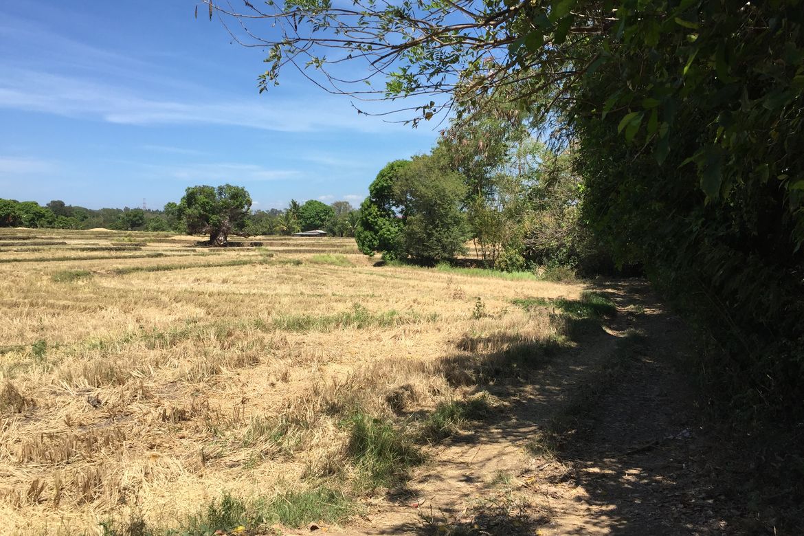 Land for Sale in Mulawin, Orani, Bataan – photo 2
