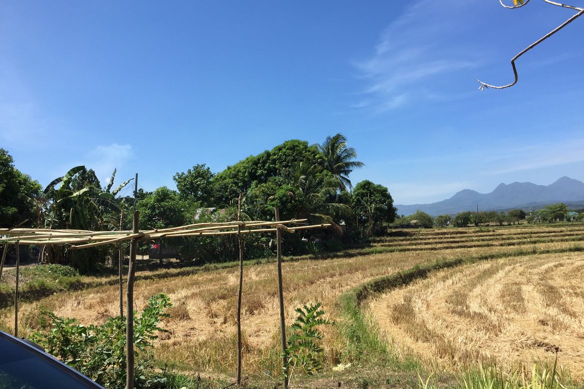 Land for Sale in Mulawin, Orani, Bataan – photo 3