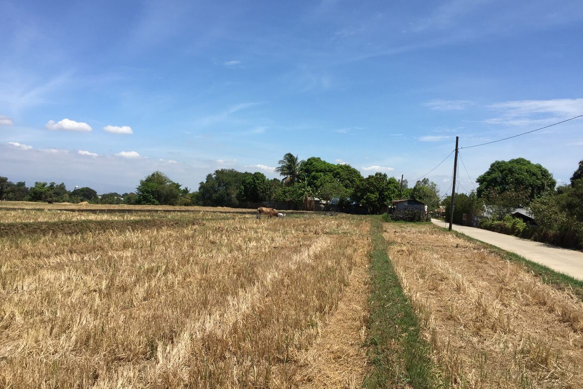 Land for Sale in Mulawin, Orani, Bataan – photo 5