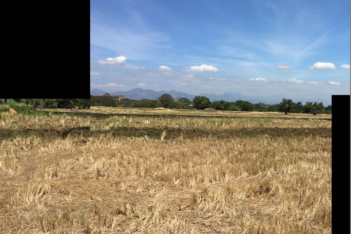 Land for Sale in Mulawin, Orani, Bataan – photo 6