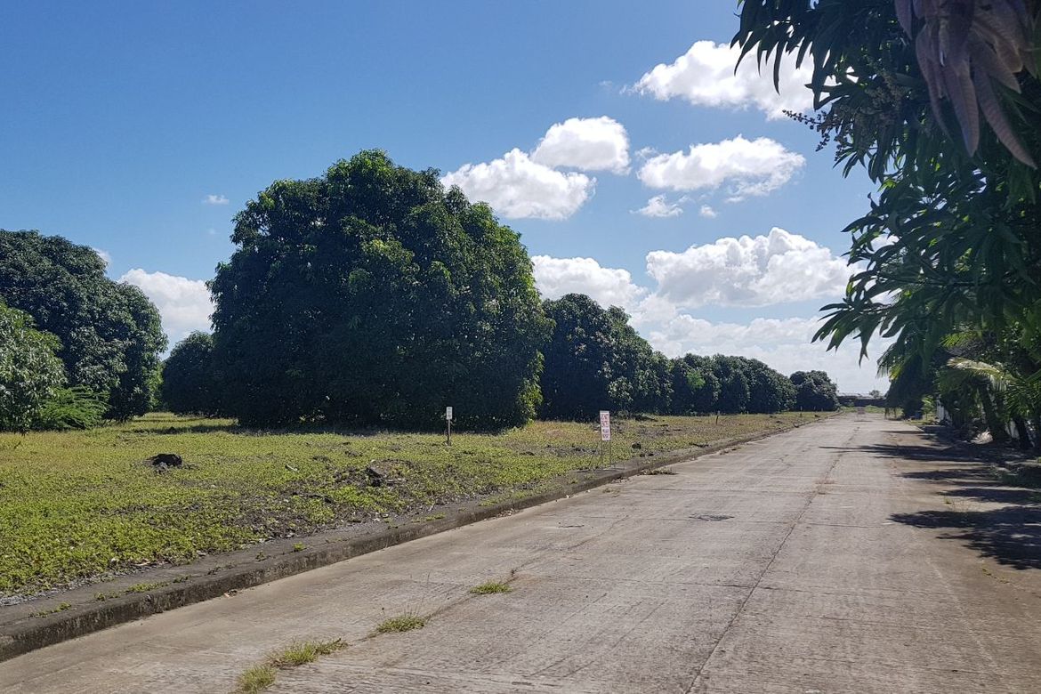 Land for Sale in Mulawin, Tanza, Cavite – photo 2