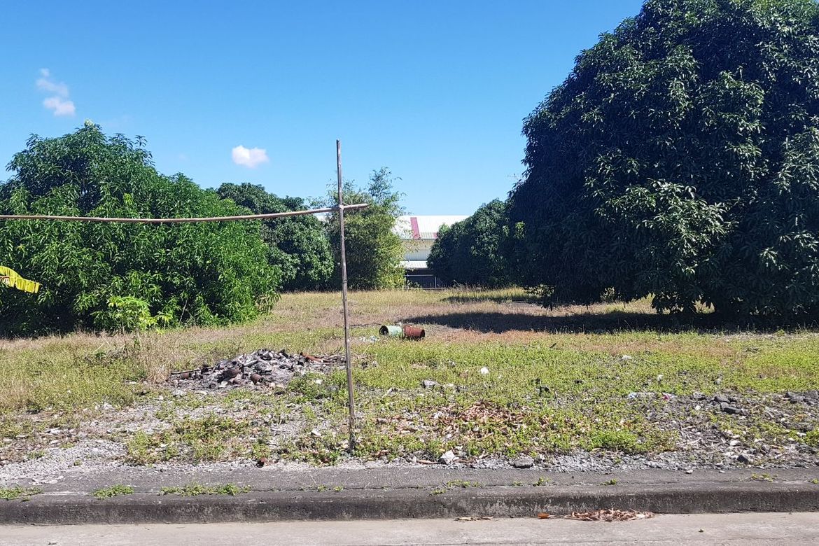 Land for Sale in Mulawin, Tanza, Cavite – photo 3