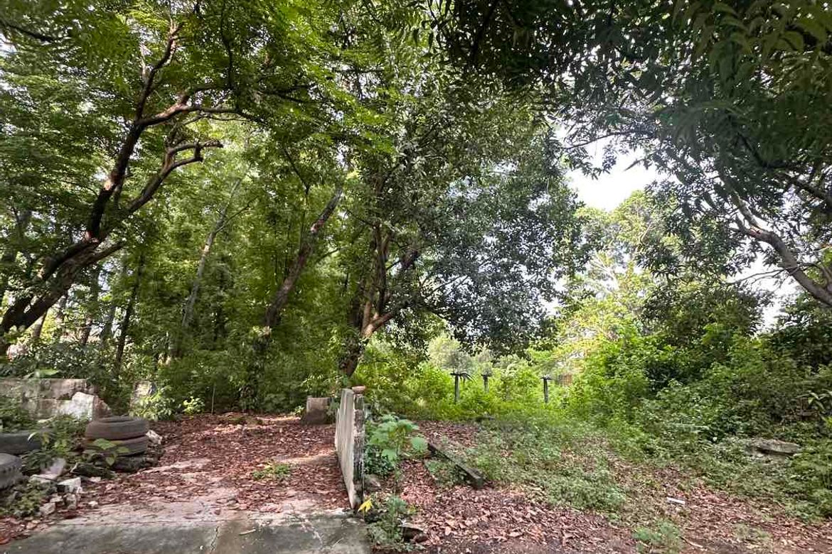 Land for Sale in Munting Tubig, Balayan, Batangas – photo 2