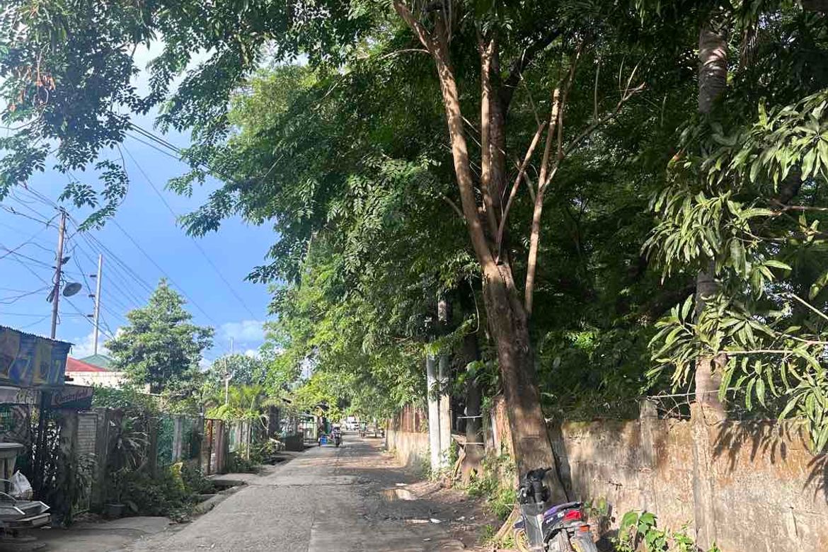 Land for Sale in Munting Tubig, Balayan, Batangas – photo 4