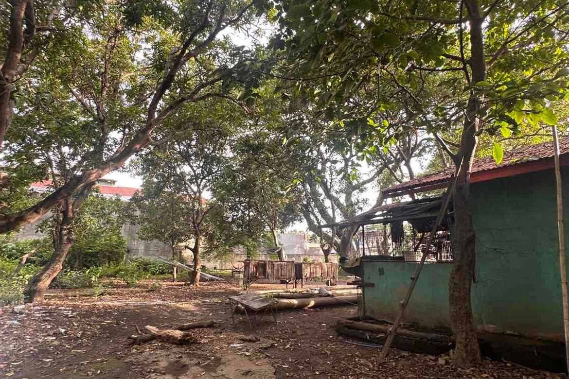 Land for Sale in Munting Tubig, Balayan, Batangas – photo 8