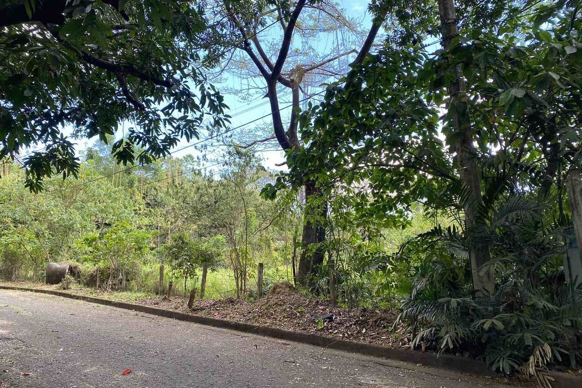 Land for Sale in Muntingdilaw, Antipolo, Rizal