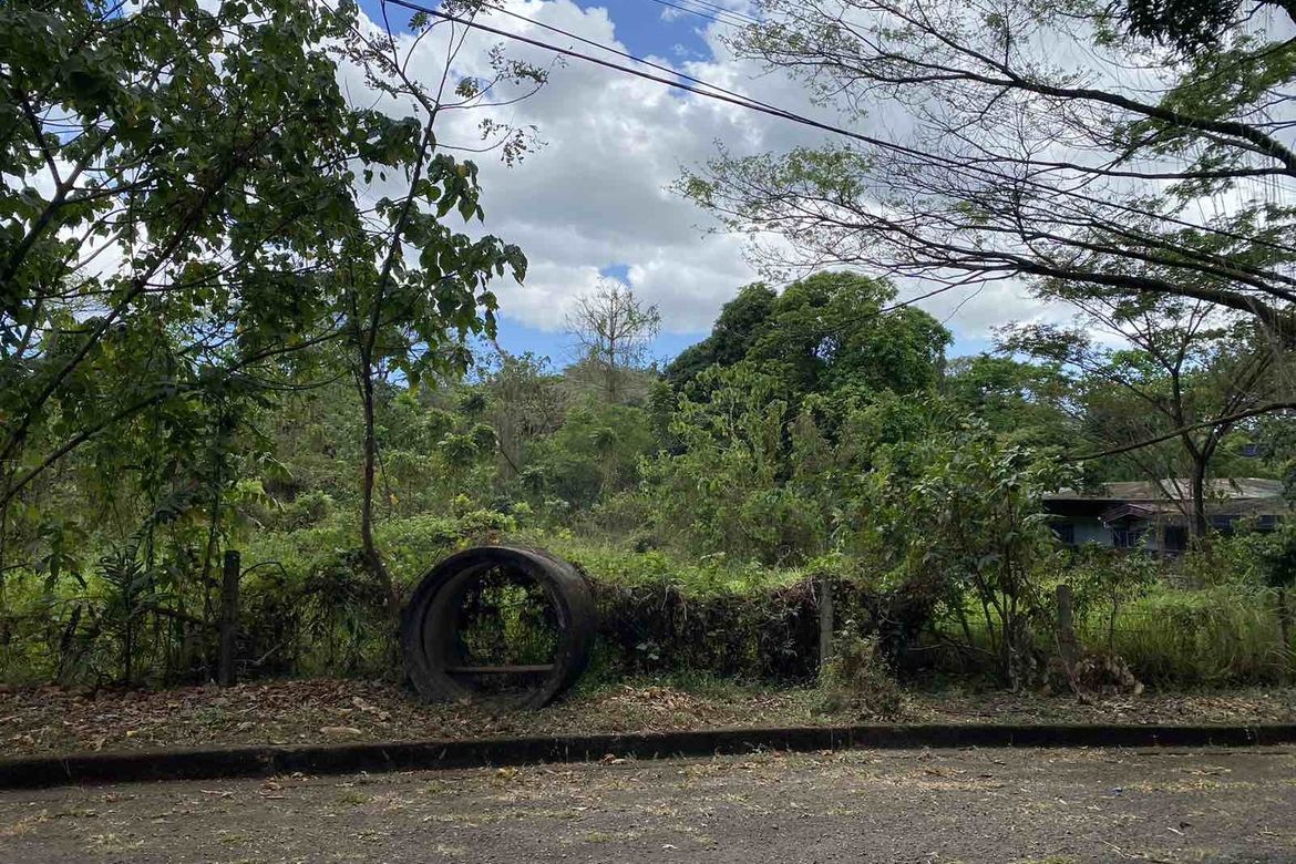Land for Sale in Muntingdilaw, Antipolo, Rizal – photo 2