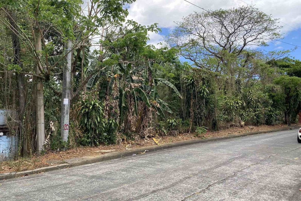Land for Sale in Muntingdilaw, Antipolo, Rizal – photo 3