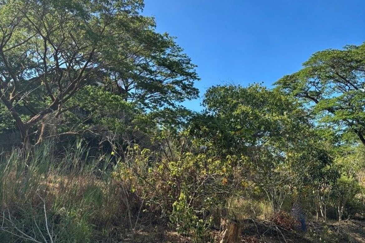 Land for Sale in Muntingdilaw, Antipolo, Rizal – photo 4