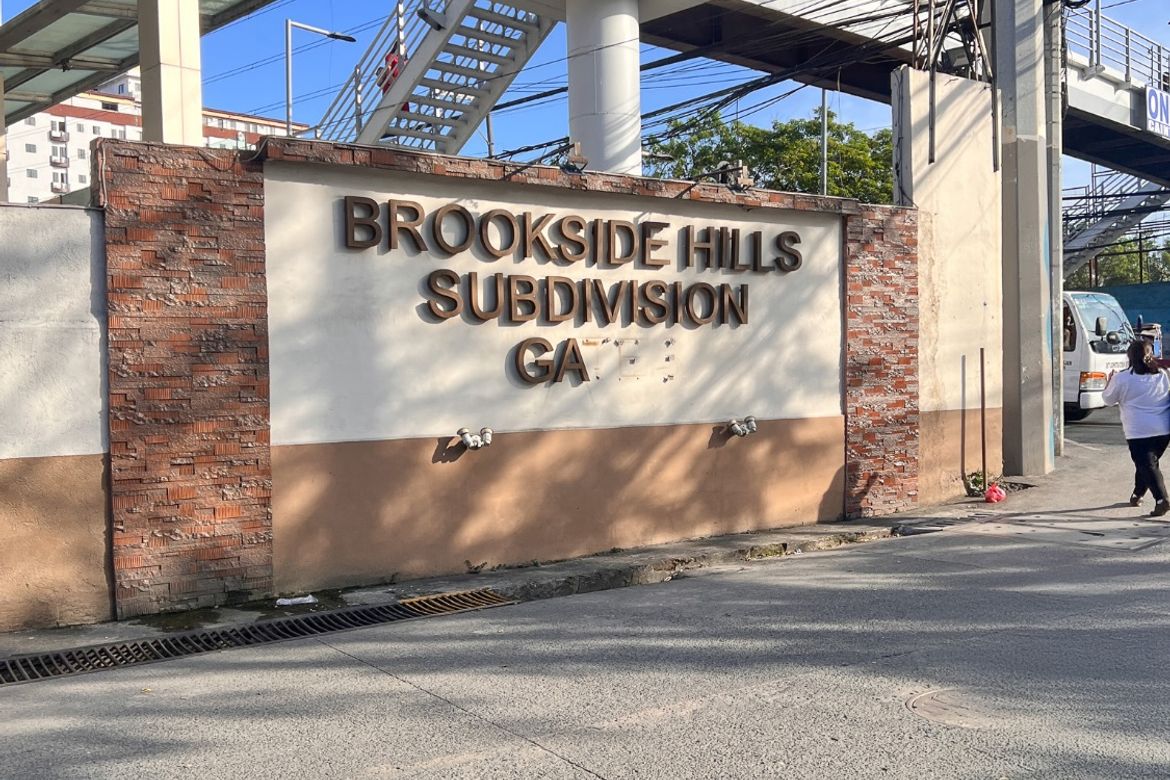 Land for Sale in Muntingdilaw, Antipolo, Rizal – photo 2