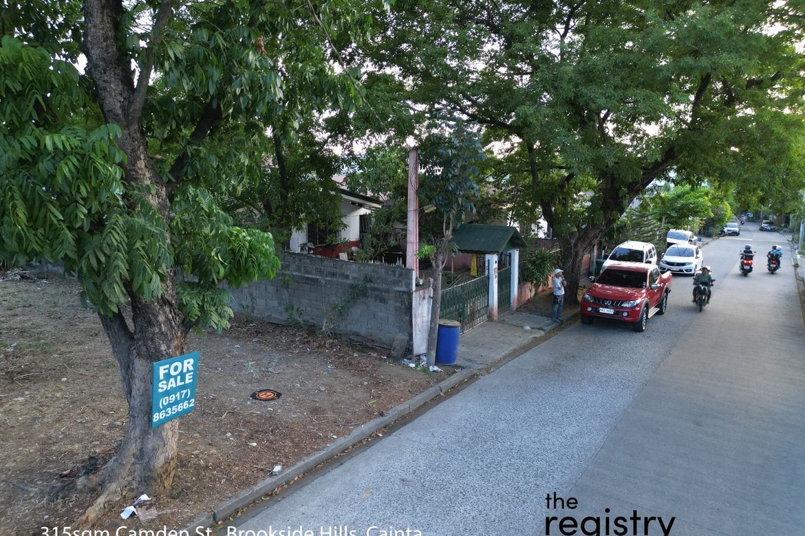 Land for Sale in Muntingdilaw, Antipolo, Rizal – photo 6