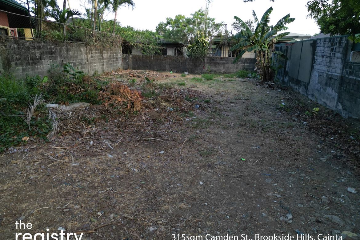 Land for Sale in Muntingdilaw, Antipolo, Rizal – photo 7