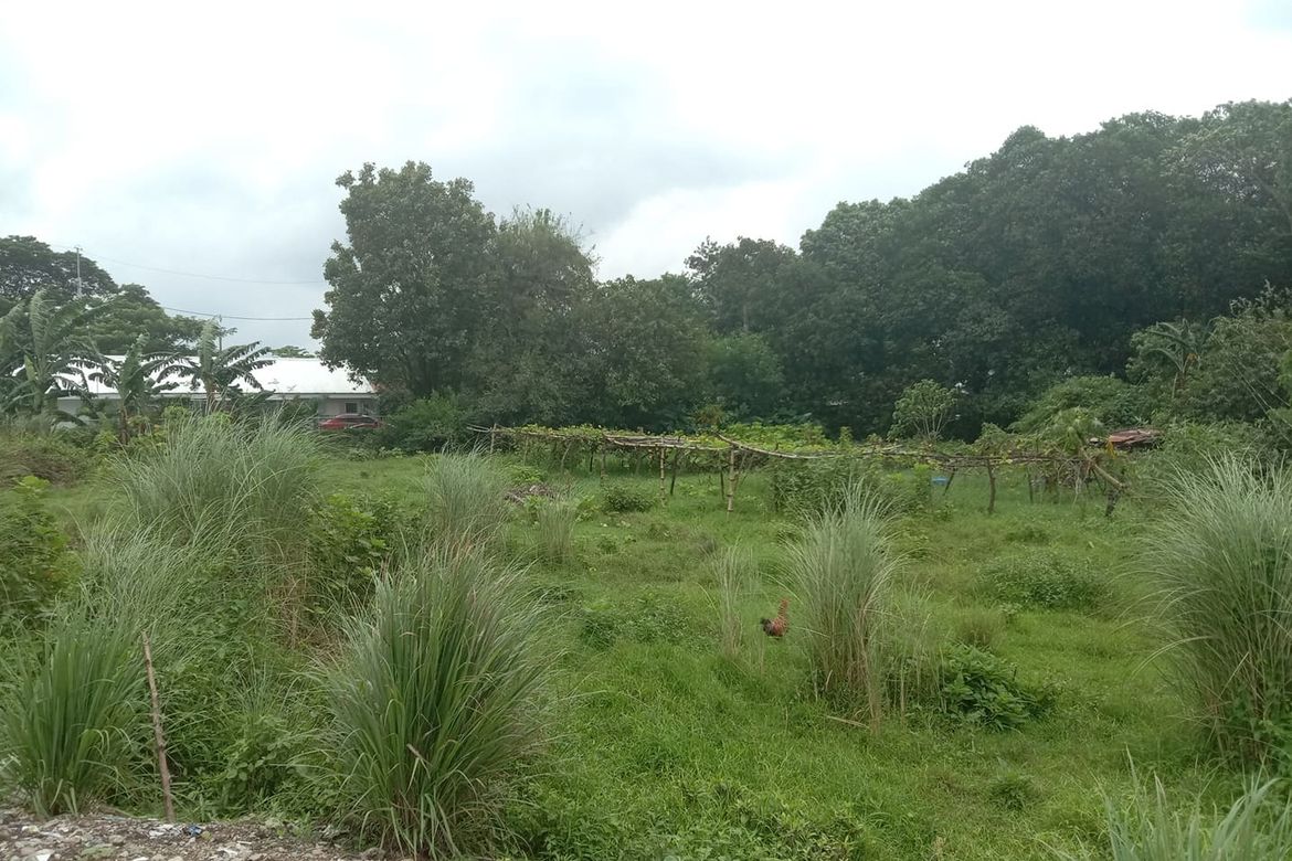 Land for Sale in Muzon, San Jose del Monte, Bulacan – photo 3