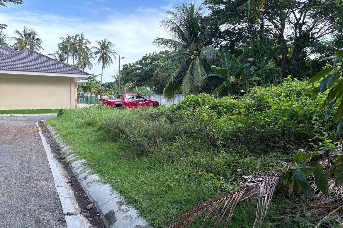 Land for Sale in Nabago, Zamboanguita, Negros Oriental – photo 3