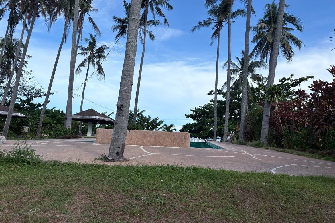 Land for Sale in Nabago, Zamboanguita, Negros Oriental – photo 6