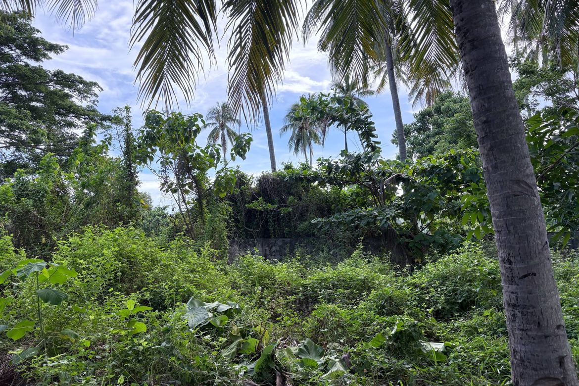 Land for Sale in Nabago, Zamboanguita, Negros Oriental – photo 7