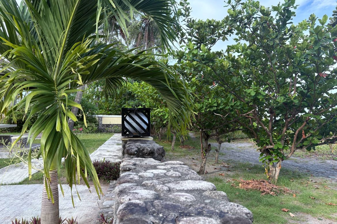 Land for Sale in Nabago, Zamboanguita, Negros Oriental – photo 8