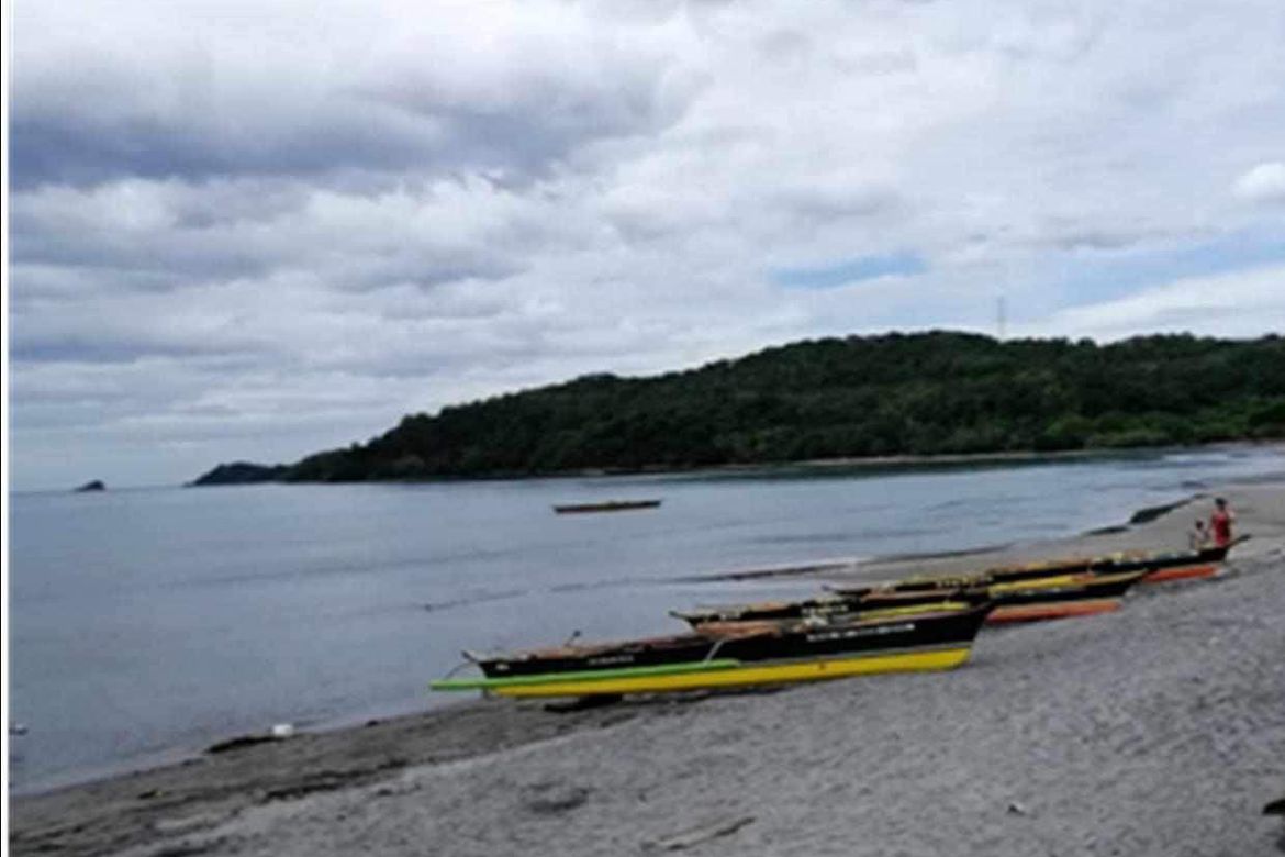 Land for Sale in Nagbalayong, Morong, Bataan – photo 2