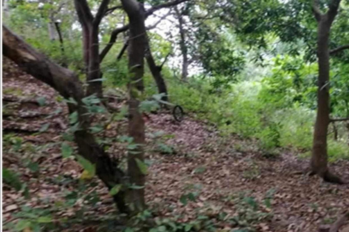 Land for Sale in Nagbalayong, Morong, Bataan – photo 3