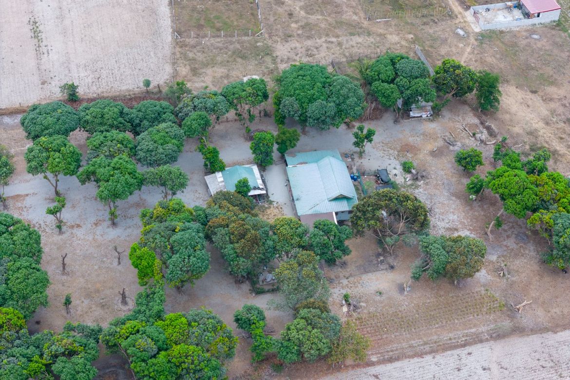 Land for Sale in Nagbayan, Castillejos, Zambales – photo 4