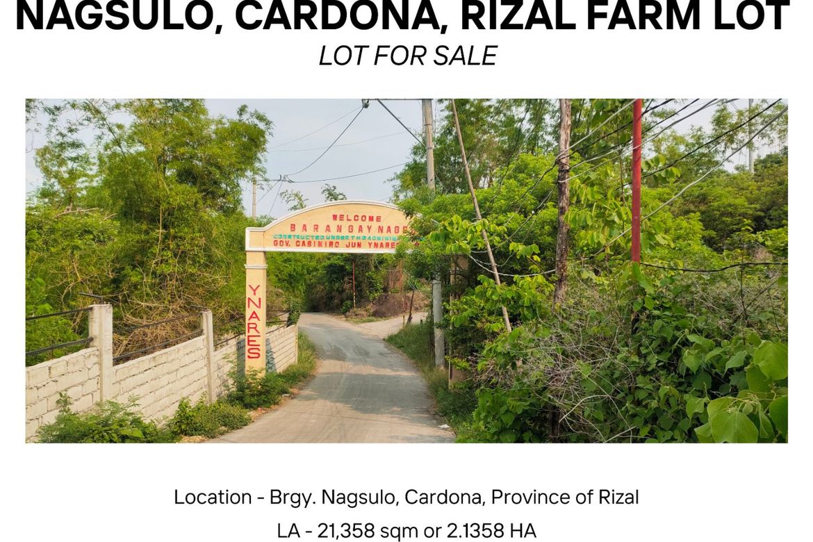 Land for Sale in Nagsulo, Cardona, Rizal – photo 2