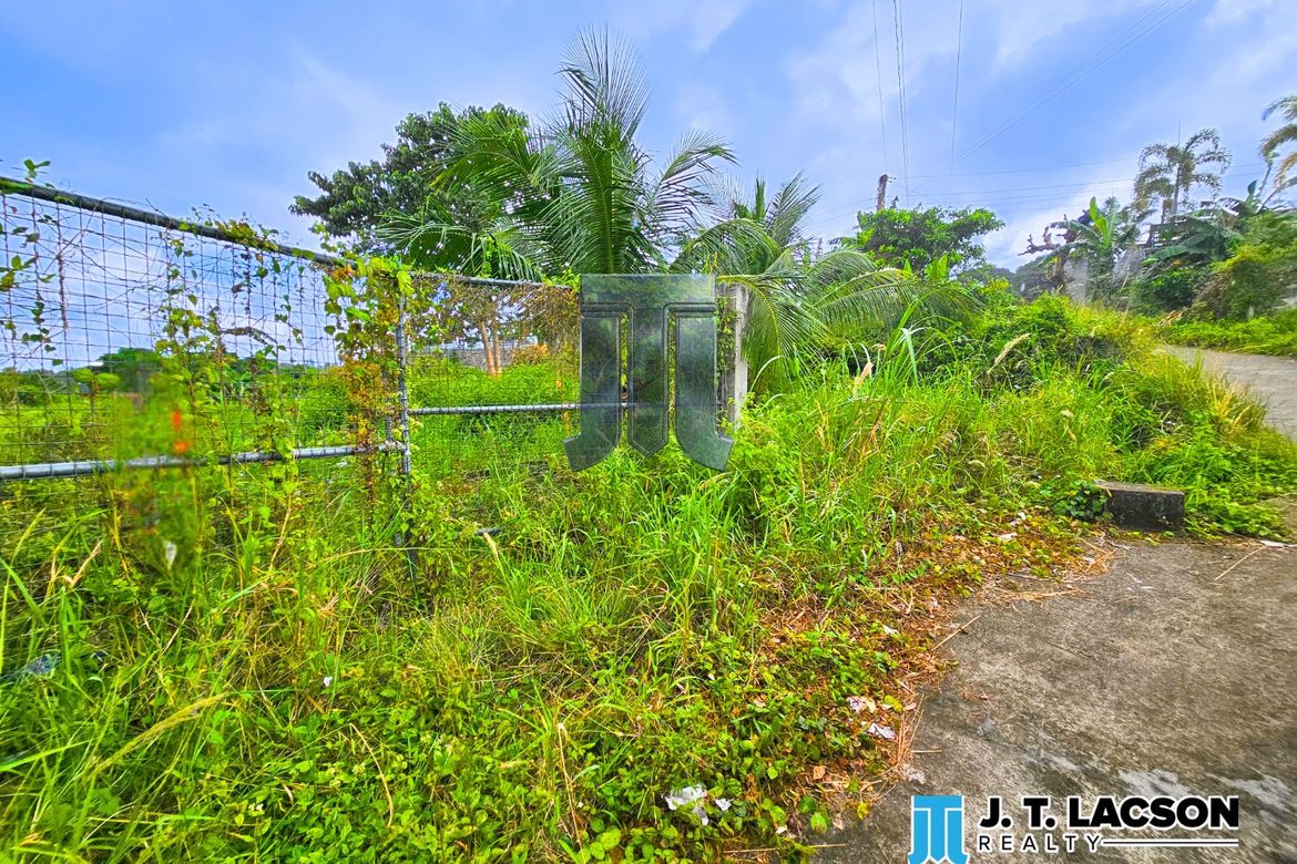 Land for Sale in Naiba, San Jose, Negros Oriental – photo 3