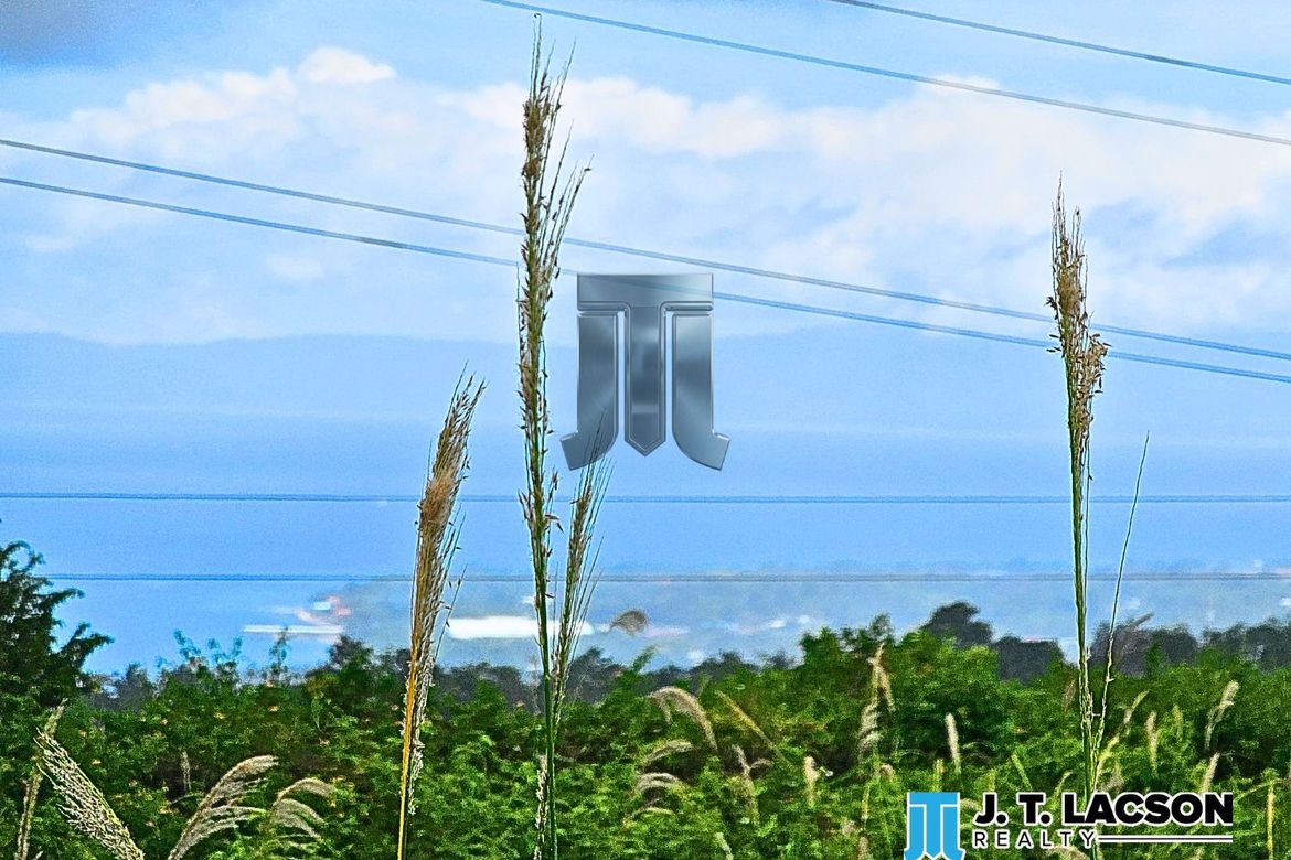 Land for Sale in Naiba, San Jose, Negros Oriental – photo 6