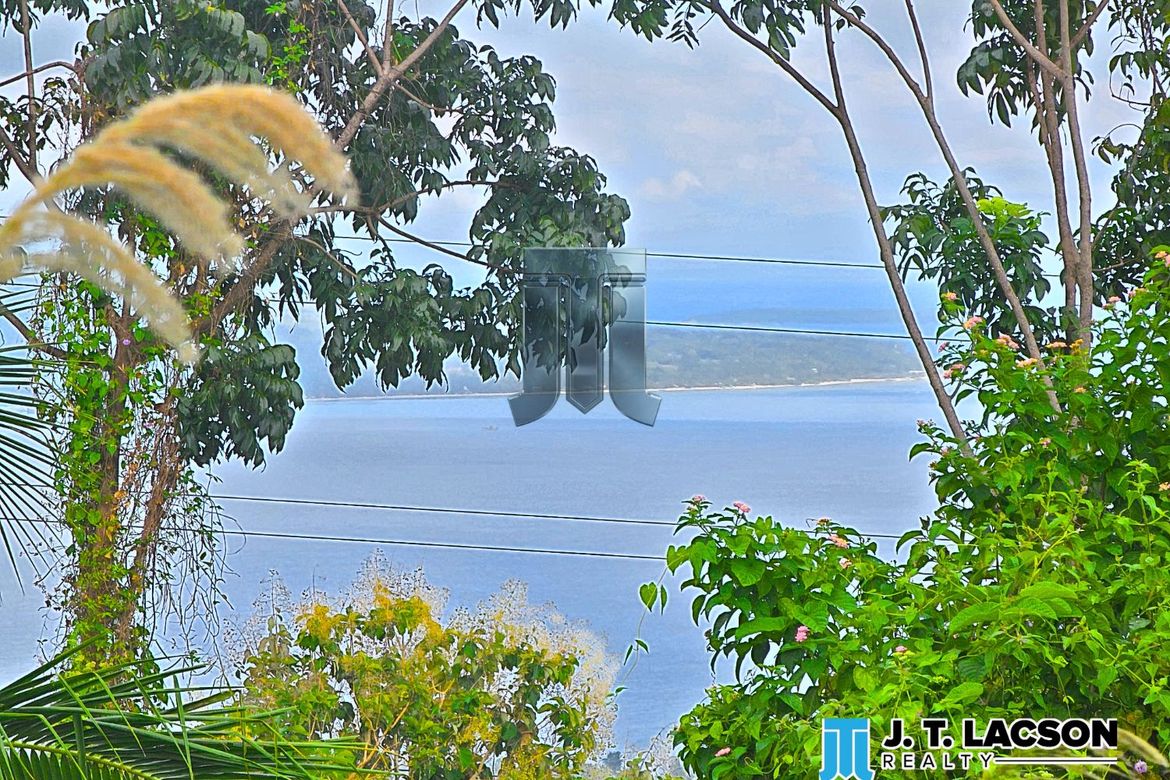 Land for Sale in Naiba, San Jose, Negros Oriental – photo 7