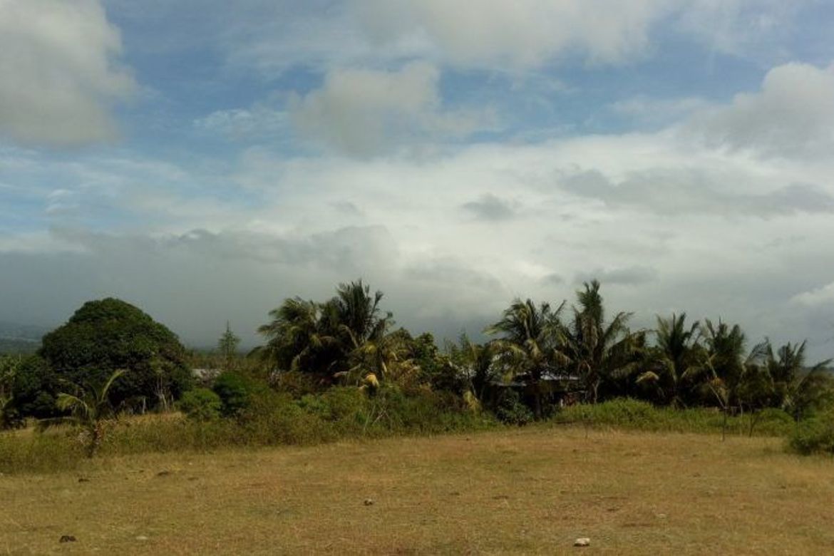 Land for Sale in Najandig, Zamboanguita, Negros Oriental – photo 3