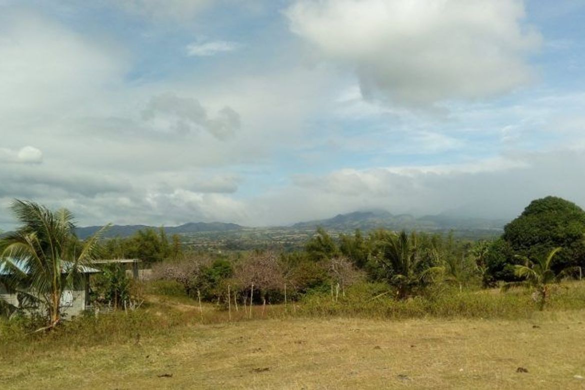 Land for Sale in Najandig, Zamboanguita, Negros Oriental – photo 5