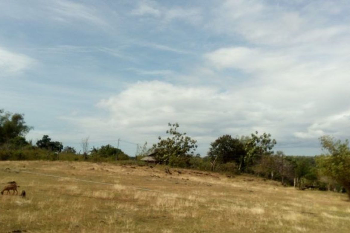 Land for Sale in Najandig, Zamboanguita, Negros Oriental – photo 8