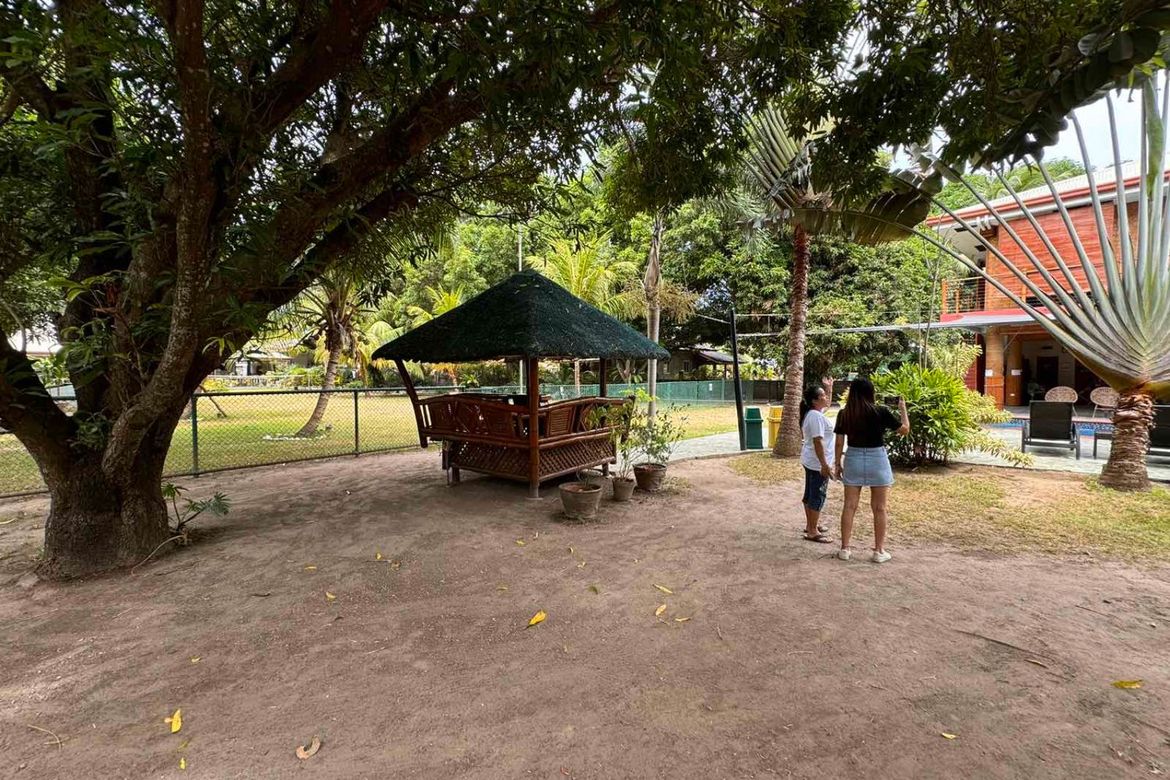 Land for Sale in Najandig, Zamboanguita, Negros Oriental – photo 3
