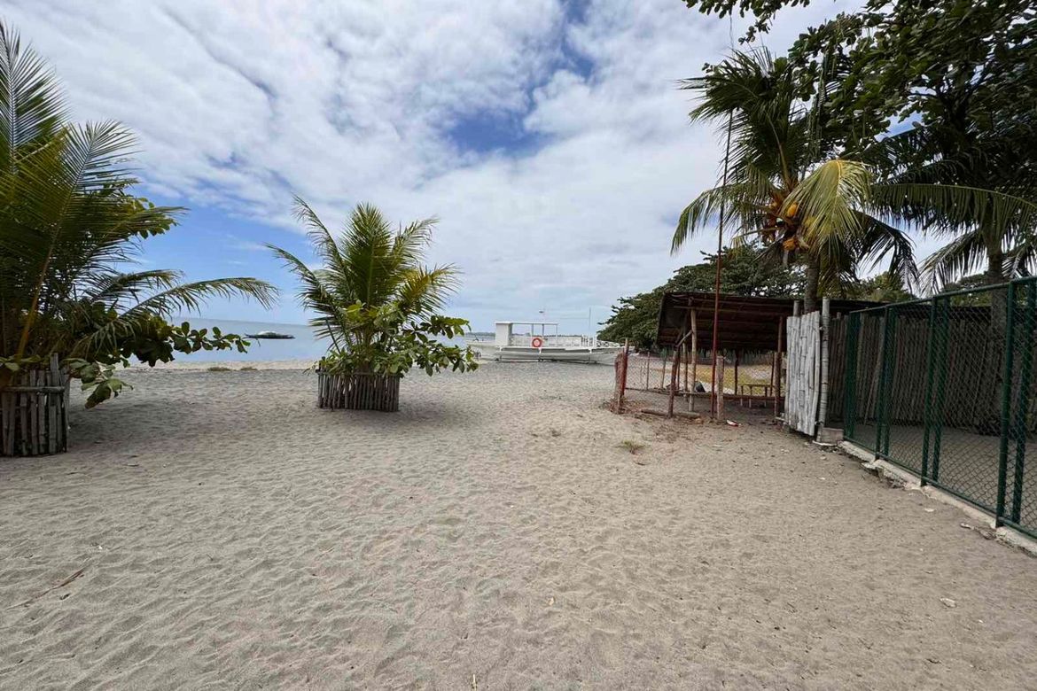 Land for Sale in Najandig, Zamboanguita, Negros Oriental – photo 7