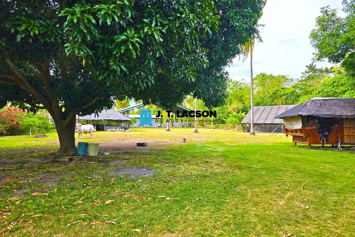 Land for Sale in Najandig, Zamboanguita, Negros Oriental