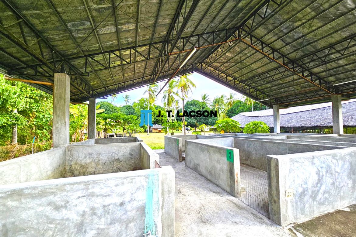 Land for Sale in Najandig, Zamboanguita, Negros Oriental – photo 4