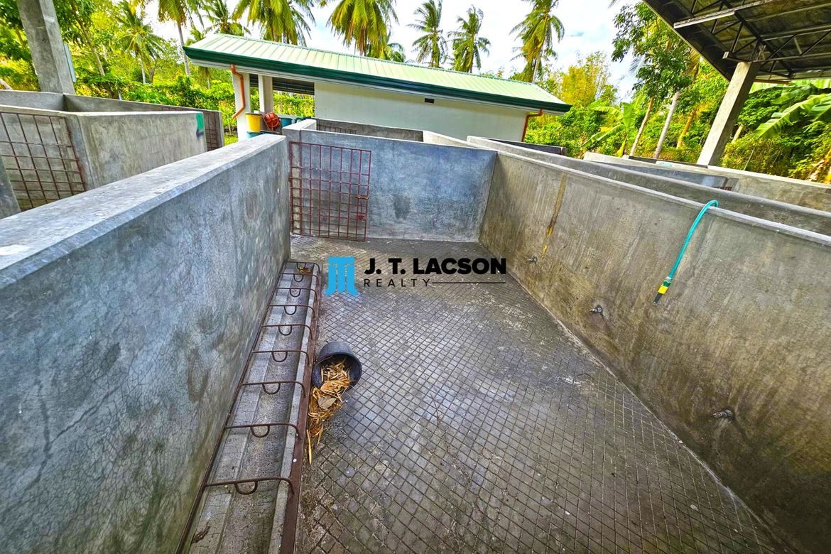 Land for Sale in Najandig, Zamboanguita, Negros Oriental – photo 6