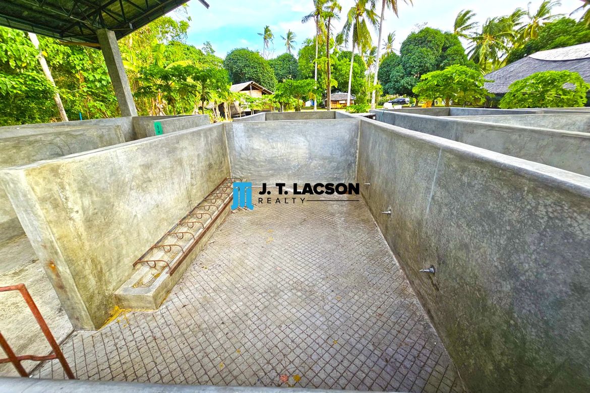 Land for Sale in Najandig, Zamboanguita, Negros Oriental – photo 7