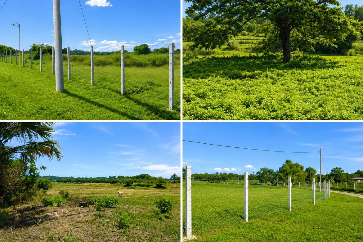 Land for Sale in Nambalan, Santa Ignacia, Tarlac – photo 6