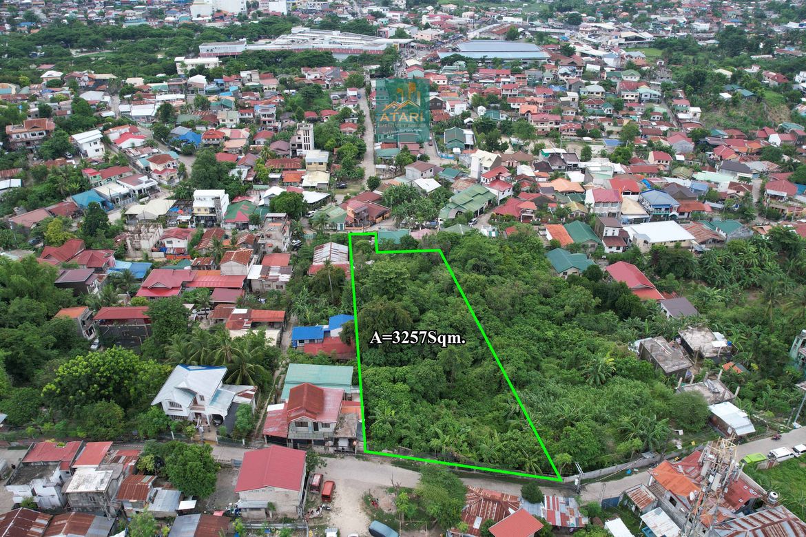Land for Sale in Nangka, Consolacion, Cebu – photo 2