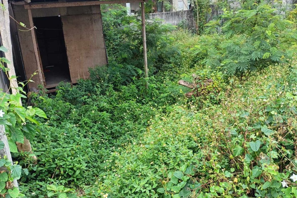 Land for Sale in Nangka, Consolacion, Cebu