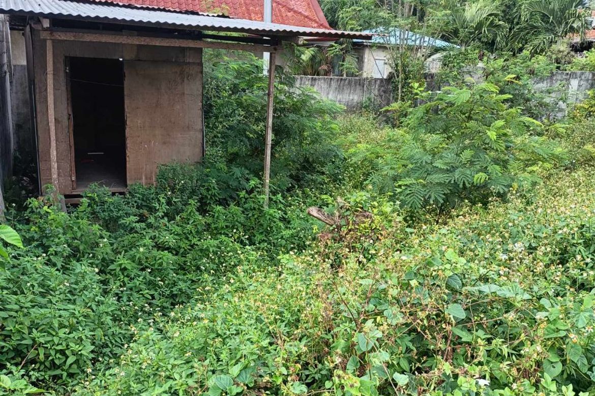 Land for Sale in Nangka, Consolacion, Cebu – photo 2