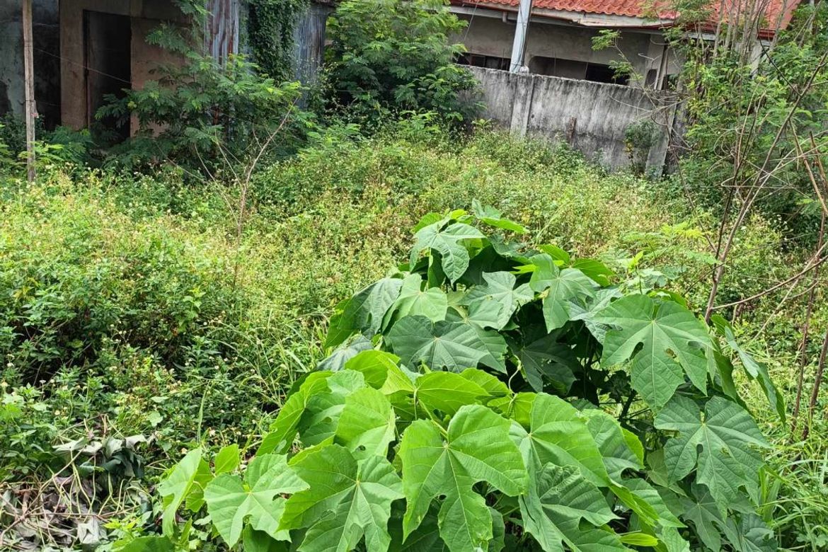Land for Sale in Nangka, Consolacion, Cebu – photo 3