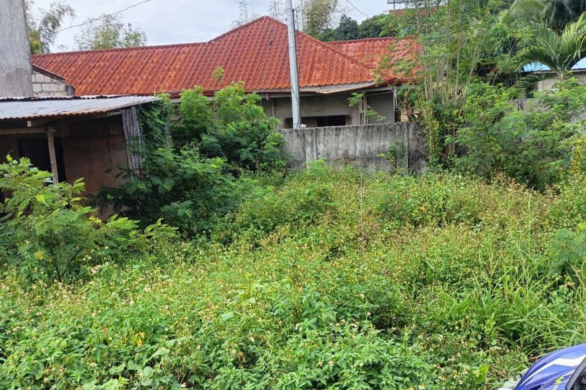 Land for Sale in Nangka, Consolacion, Cebu – photo 4