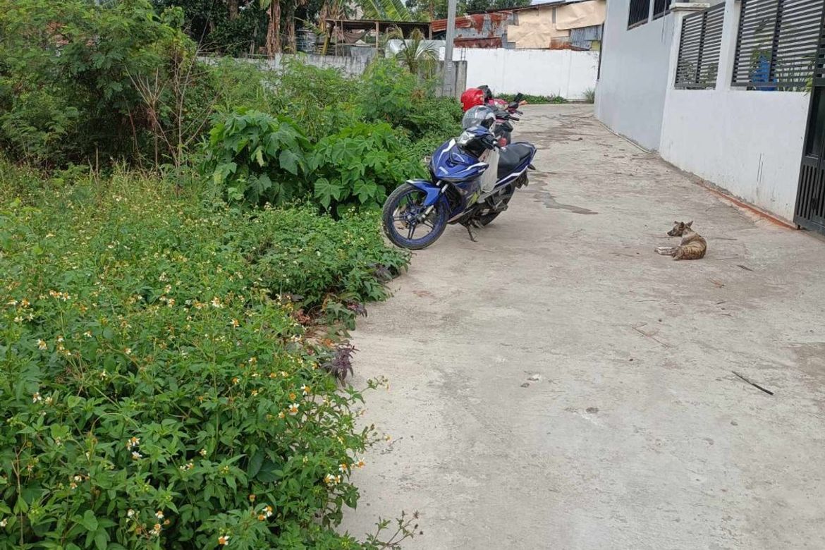 Land for Sale in Nangka, Consolacion, Cebu – photo 5