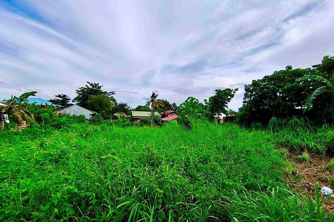 Land for Sale in Nangka, Consolacion, Cebu – photo 3