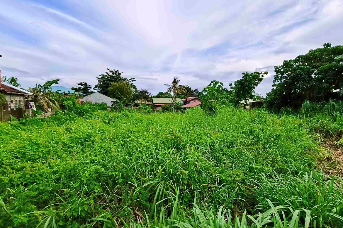 Land for Sale in Nangka, Consolacion, Cebu – photo 4