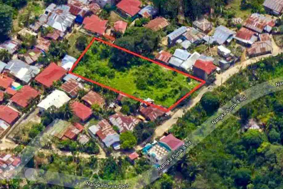 Land for Sale in Nangka, Consolacion, Cebu – photo 6